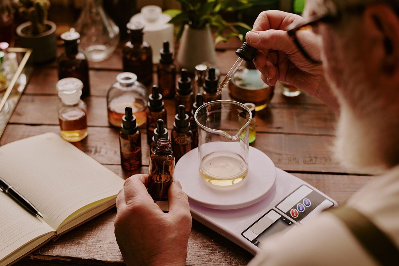 Kemijski sastav eteričnih ulja: oksidi i 1,8-cineol – ključne molekule za dišni sustav